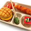 High Quality Natural Biodegradable Food Tray Disposable Sugarcane Bagasse Plates